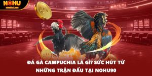 Đá Gà Campuchia Là Gì? Sức Hút Từ Những Trận Đấu Tại Nohu90