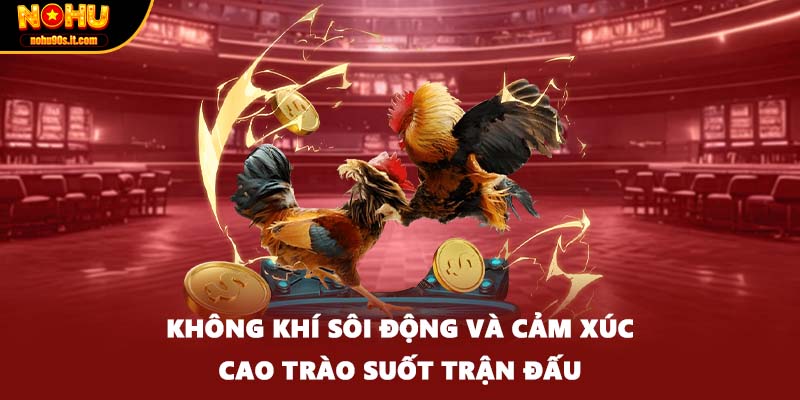 Không khí sôi động và cảm xúc cao trào suốt trận đấu