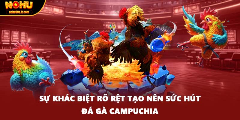 Sự khác biệt rõ rệt tạo nên sức hút đá gà Campuchia