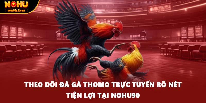 Theo dõi đá gà Thomo trực tuyến rõ nét tiện lợi tại Nohu90