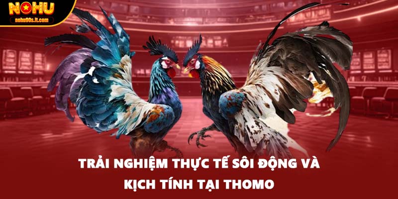 Trải nghiệm thực tế sôi động và kịch tính tại Thomo