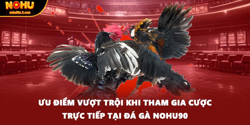 Ưu điểm vượt trội khi tham gia cược trực tiếp tại đá gà Nohu90